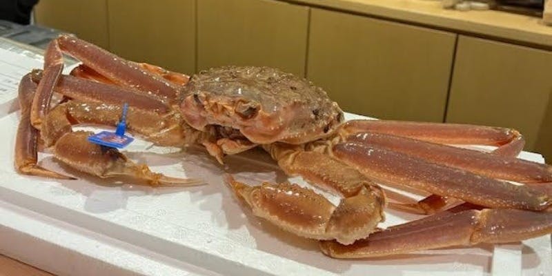  【季節の至高コース】　蟹（松葉蟹・越前蟹・毛蟹）・天然虎ふぐ・伊勢海老　他