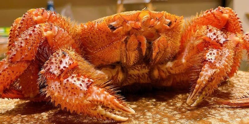 Beef Dining 肉いさ - 画像16