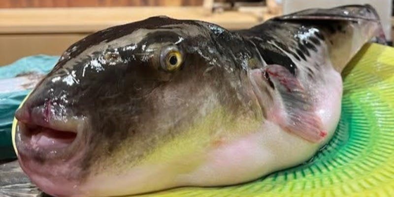 Beef Dining 肉いさ - 画像19