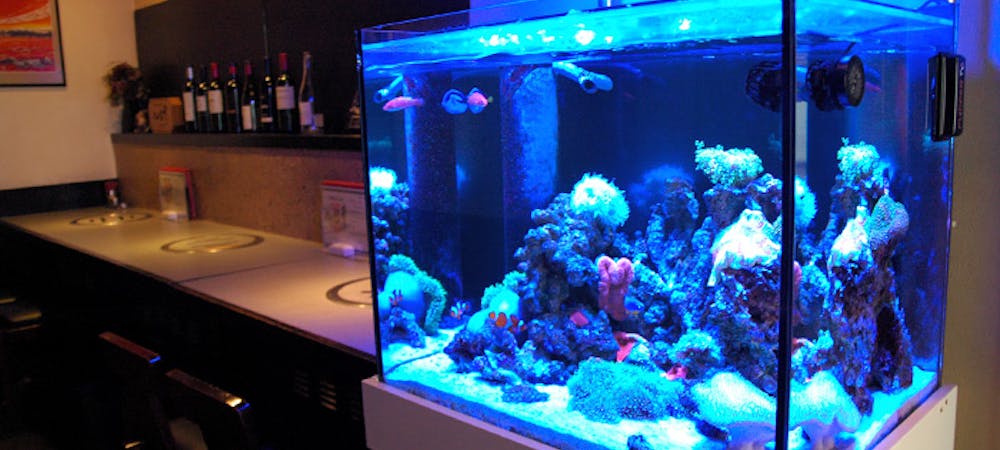 辻堂駅周辺ディナー 30件 おしゃれ人気店 絶品ディナーグルメ 21年 一休 Comレストラン 辻堂駅周辺ディナー 30件 おしゃれ人気店 絶品ディナーグルメ 21年 一休 Comレストラン