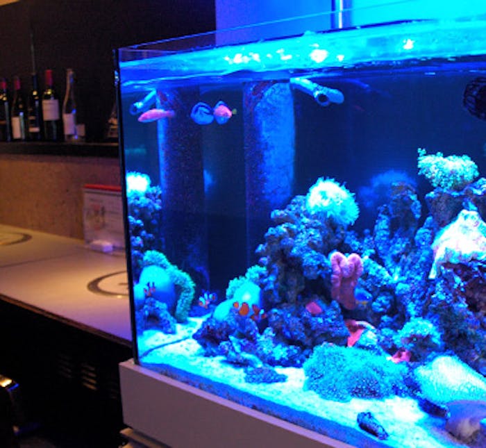 辻堂駅周辺ディナー 30件 おしゃれ人気店 絶品ディナーグルメ 21年 一休 Comレストラン 辻堂駅周辺ディナー 30件 おしゃれ人気店 絶品ディナーグルメ 21年 一休 Comレストラン