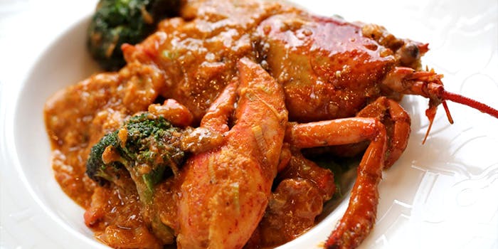 ウチダ テイ（UCHIDA TEI）