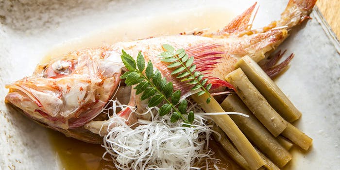 北新地 隼人 - 画像6