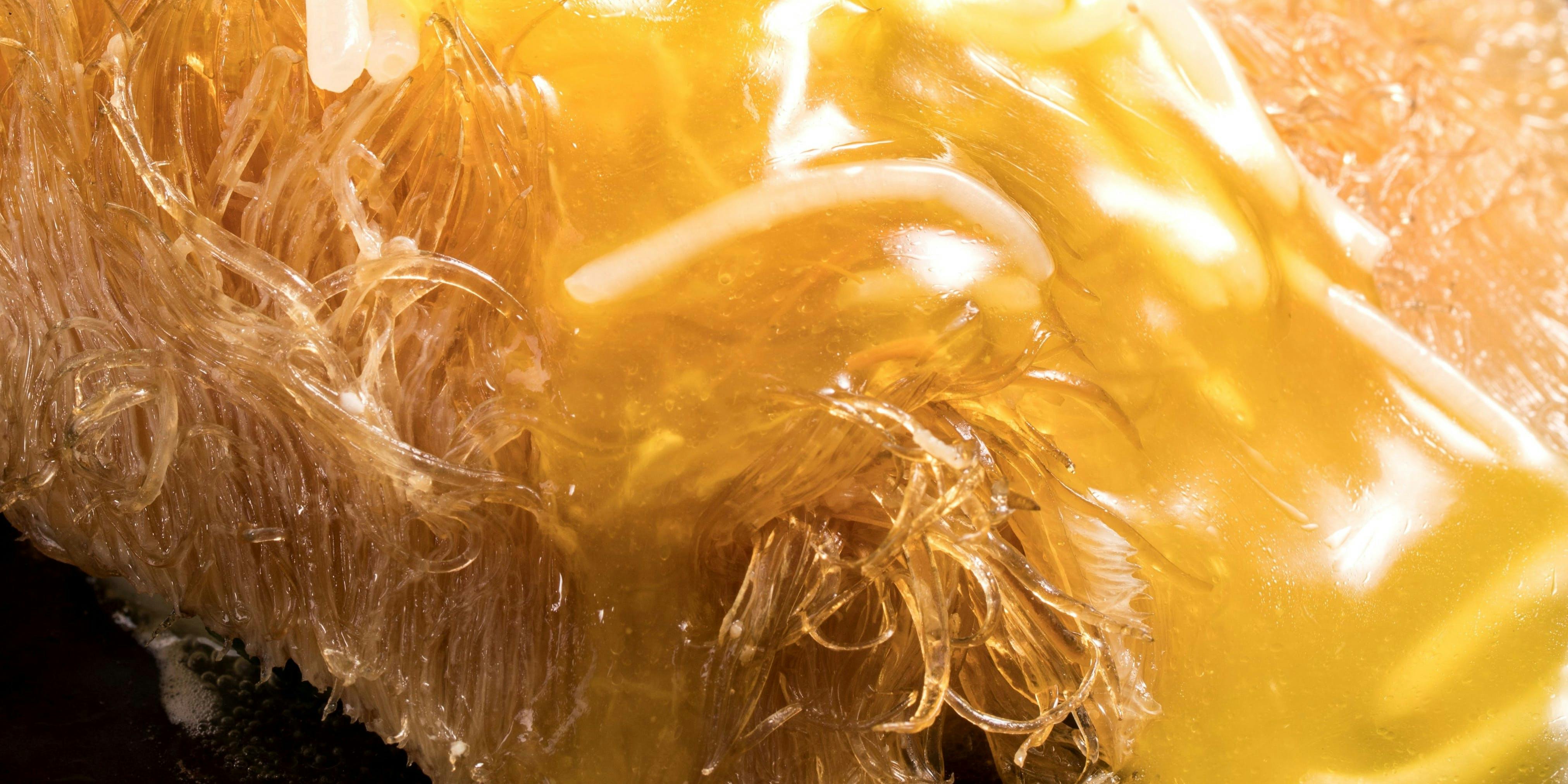 西亀有 ギャラリー - 画像8