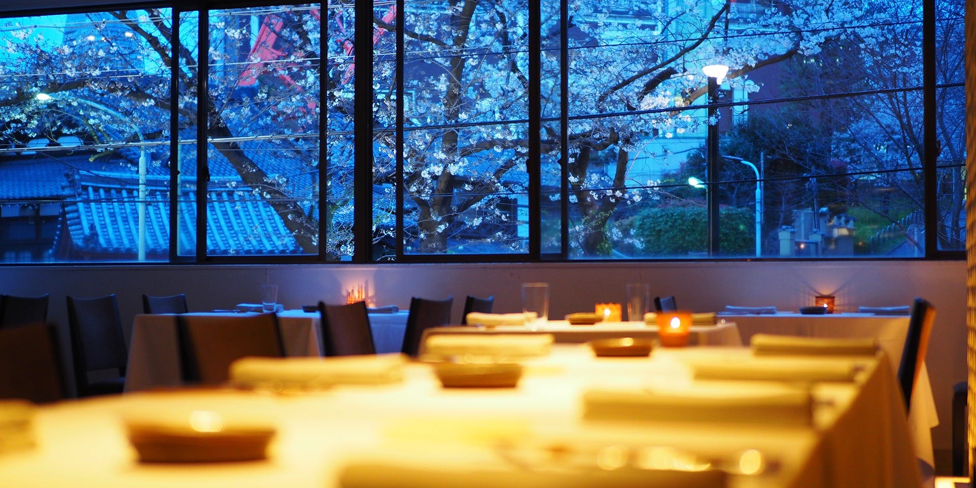 タワシタ - 画像1