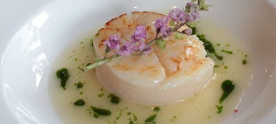 辻堂駅周辺の美味しいランチ23店 おしゃれ人気店 絶品ランチグルメ 22年 一休 Comレストラン 辻堂駅周辺の美味しいランチ23店 おしゃれ人気店 絶品ランチグルメ 22年 一休 Comレストラン