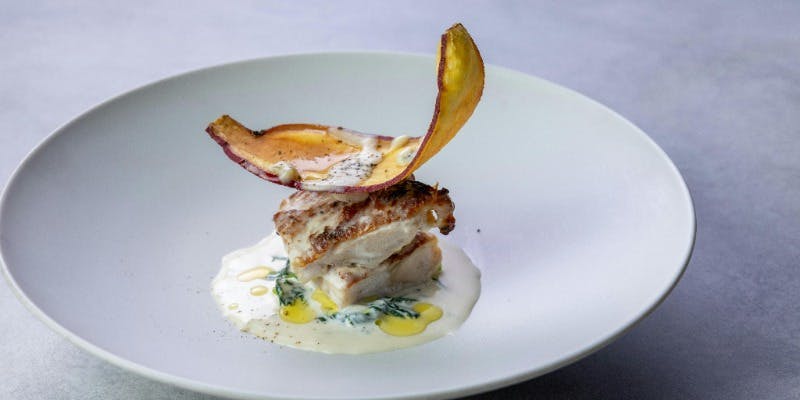 【12月～女子会】”世”全5品　＋食後ドリンク