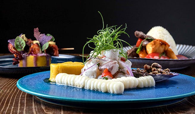 アラン モダン ペルヴィアン アンド オープンバー Alan Modern Peruvian Open Bar 栄 名古屋 中南米料理 一休 Comレストラン アラン モダン ペルヴィアン アンド オープンバー Alan Modern Peruvian Open Bar 栄 名古屋 中南米料理 一休 Comレストラン