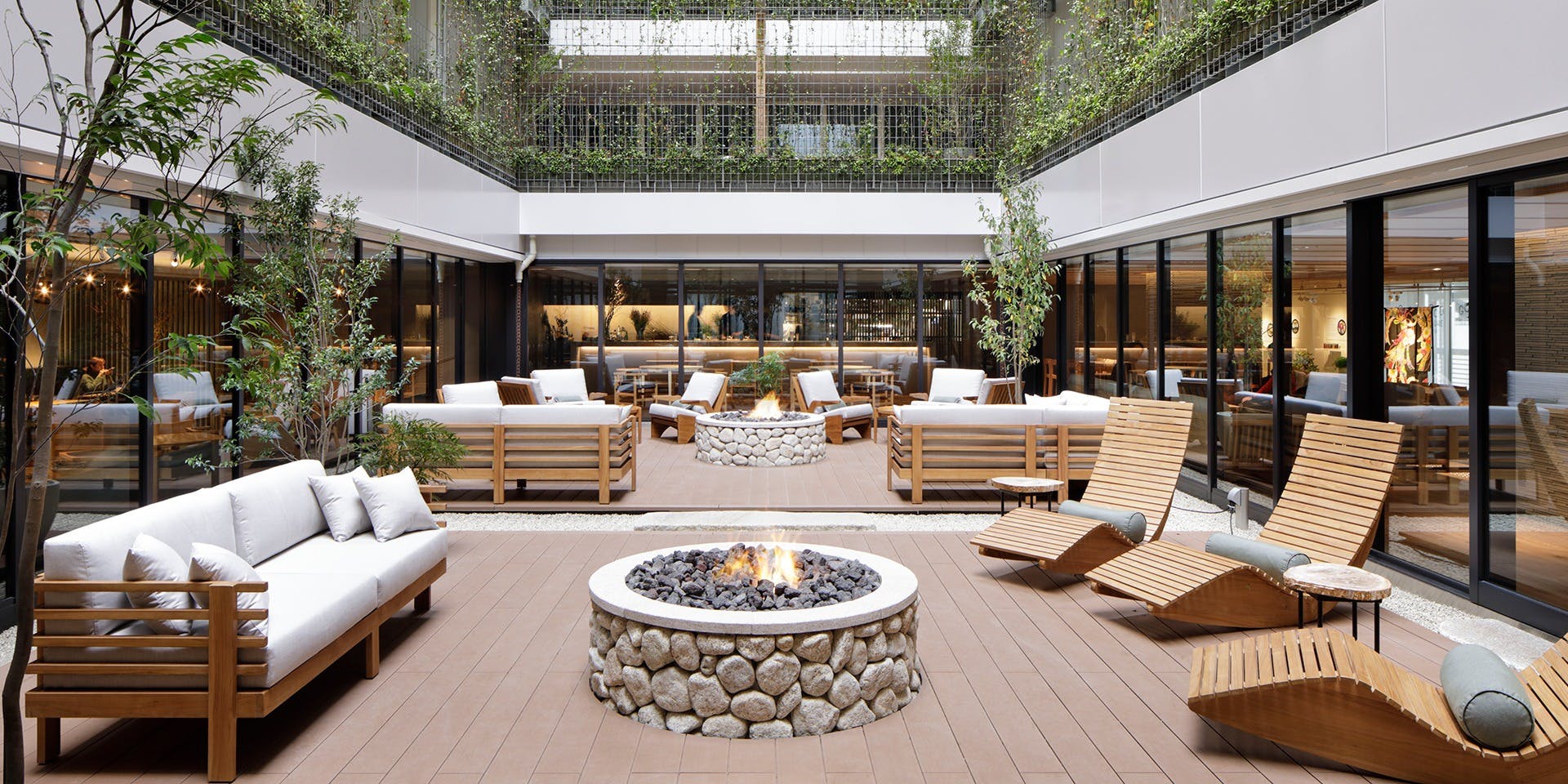 ヒソップ（Hyssop） 3枚目