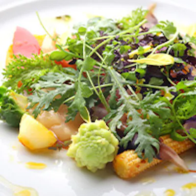 朝採れ鎌倉野菜をふんだんに使用した至極のフランス料理
