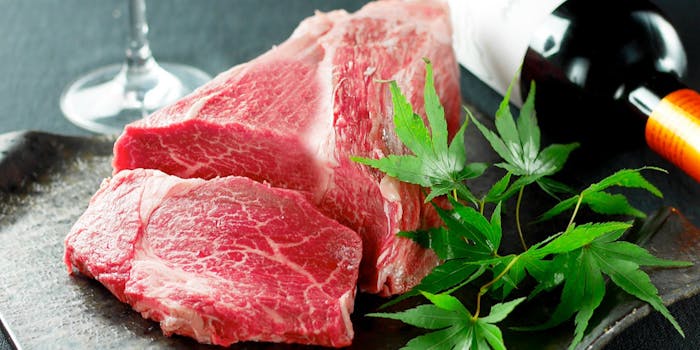 大阪の女子会にランチで焼肉が楽しめるおすすめレストラントップ4 一休 Comレストラン 大阪の女子会にランチで焼肉が楽しめるおすすめレストラントップ4 一休 Comレストラン