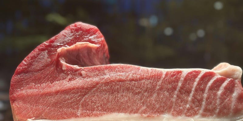 【おまかせコース】（10/1～）