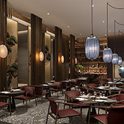 ラグジュアリーかつ心地良い本格和食店