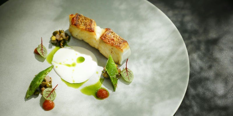 Chef‘s Recommend Menu