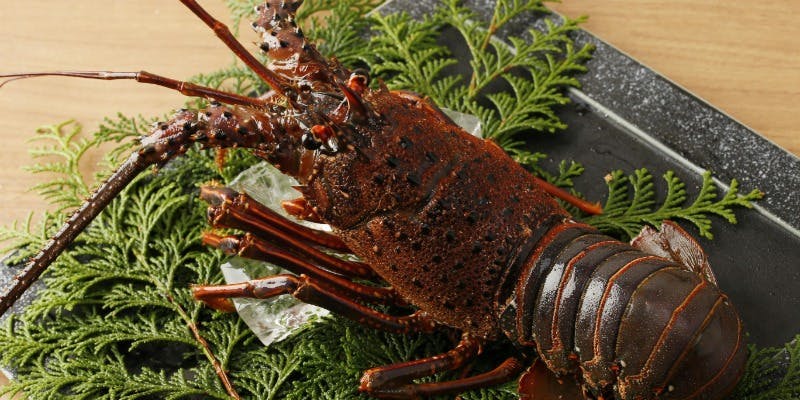 豪華絢爛！「伊勢海老」「A5山形牛」含む特別会席 御食事のみ全9品