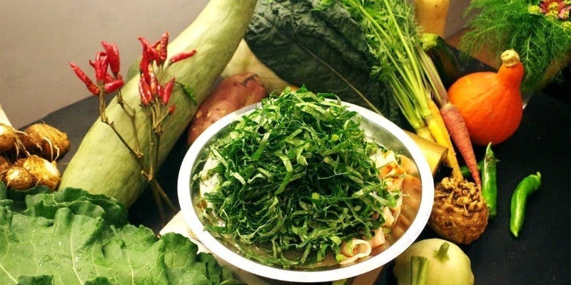 お鍋単品【農家のケール火鍋】オーガニック野菜を食べ放題で堪能