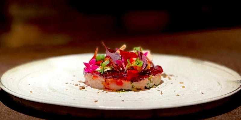 【一休限定コース】Oshimaをお手頃価格で楽しめるショートコース 全7品