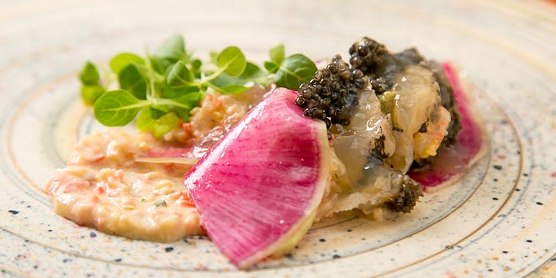 ジュンジーノ - 画像5