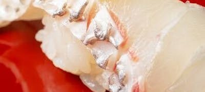 京都御所周辺ランチ21 おすすめ 絶品お昼ごはん28選 一休 Comレストラン 京都御所周辺ランチ21 おすすめ 絶品お昼ごはん28選 一休 Comレストラン