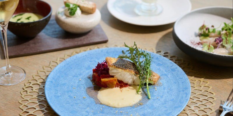 BALCON TOKYO�i�o���R���E�g�[�L���[�j