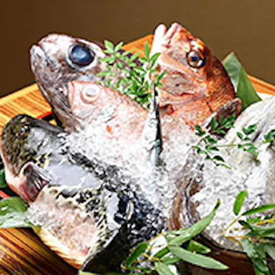 金沢直送の旬魚をご堪能