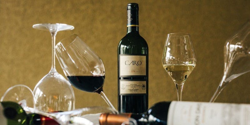 【フリードリンク付ランチ】月替わりテーマで創る里山前菜や選べるメインのコースと飲み放題90分（土日祝）