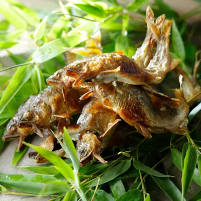 四季折々の旬食材をご堪能