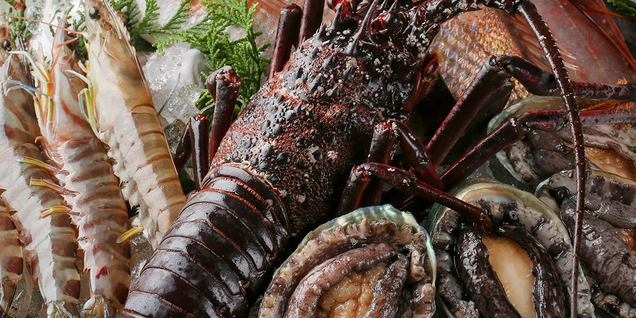 神戸牛 鉄板焼 リオ 大阪御堂筋店