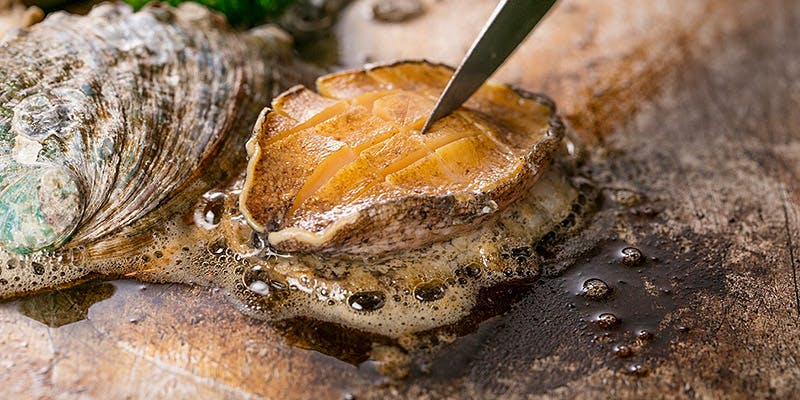 鉄板焼さとう - 画像5