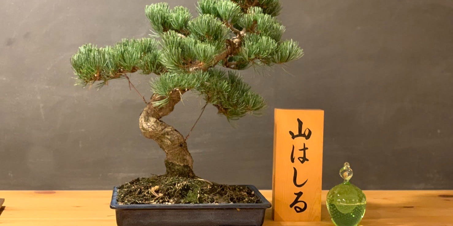 鶏料理 山はしる - 画像10