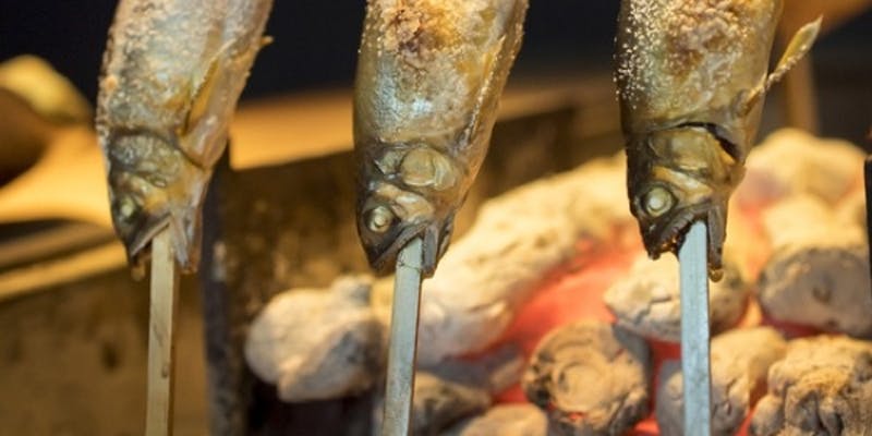 【漁火コース】魚のコース　貝類　魚の干物5種。日本酒や白ワインなど、お酒と合わせたい方に最適コース