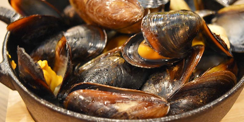 REVO BREWING（レボ ブルーイング）