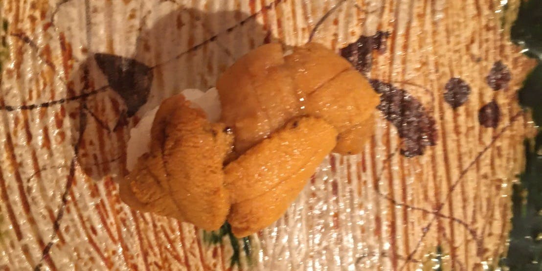 江戸前 すし処 大