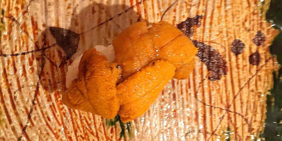 江戸前 すし処 大 - 画像5