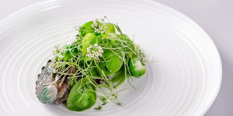 【アーリークリスマスランチ】鮑や鰤、国産牛を楽しむ贅沢フルコースランチ