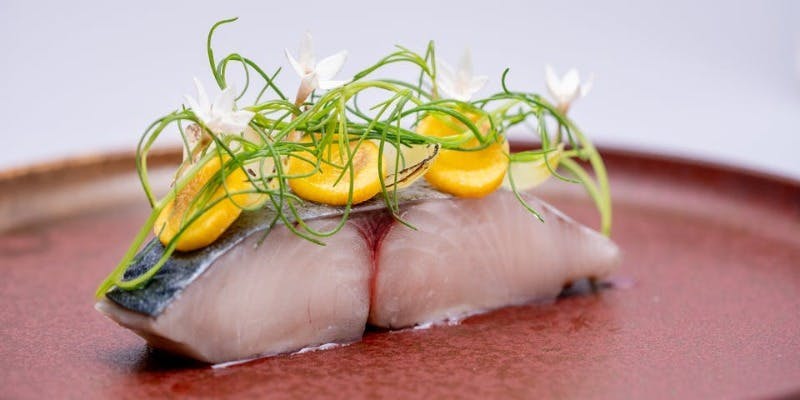 【ピオッジャ】国産牛＆大分産鯵など九州食材の贅沢ディナー全6品＋選べる2ドリンク（1/7～）