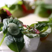 FORNI(THE GARDEN BAR)/HOTEL THE MITSUI KYOTO