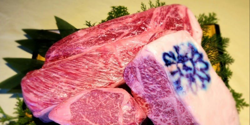 先斗町 TAMANOHIKARI 東山望 - 画像7