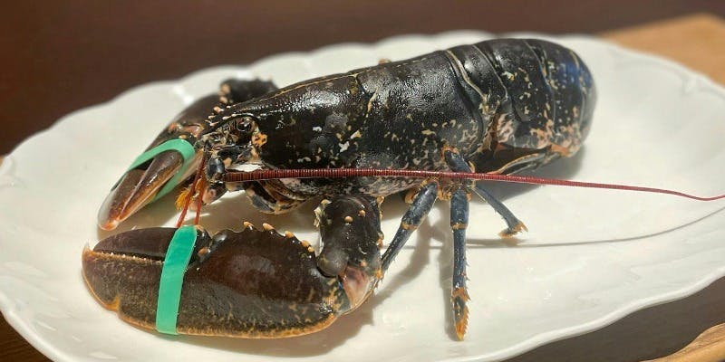 【季節のおまかせ　冬】旬のフグや蟹をお楽しみいただけるコース