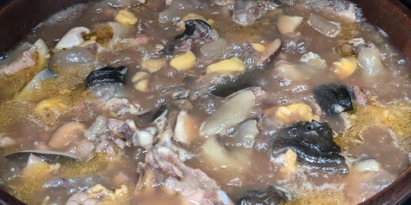 「昼限定」美肌 すっぽんコース【熊本県産  天然使用】