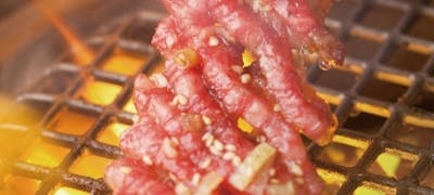 大阪城公園ランチ21 おすすめ 絶品お昼ごはん15選 一休 Comレストラン 大阪城公園ランチ21 おすすめ 絶品お昼ごはん15選 一休 Comレストラン