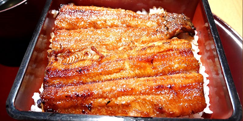 炭火焼寝床 心斎橋本店（unaginonedoko）