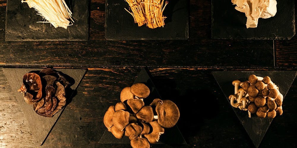 Mr.Mushroom 名古屋駅店 - 画像14