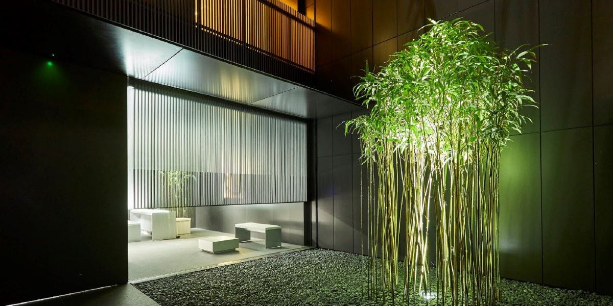 BAR／MOGANA - 画像3