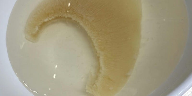 神戸ステーキハウス 和豪（ワゴウ）