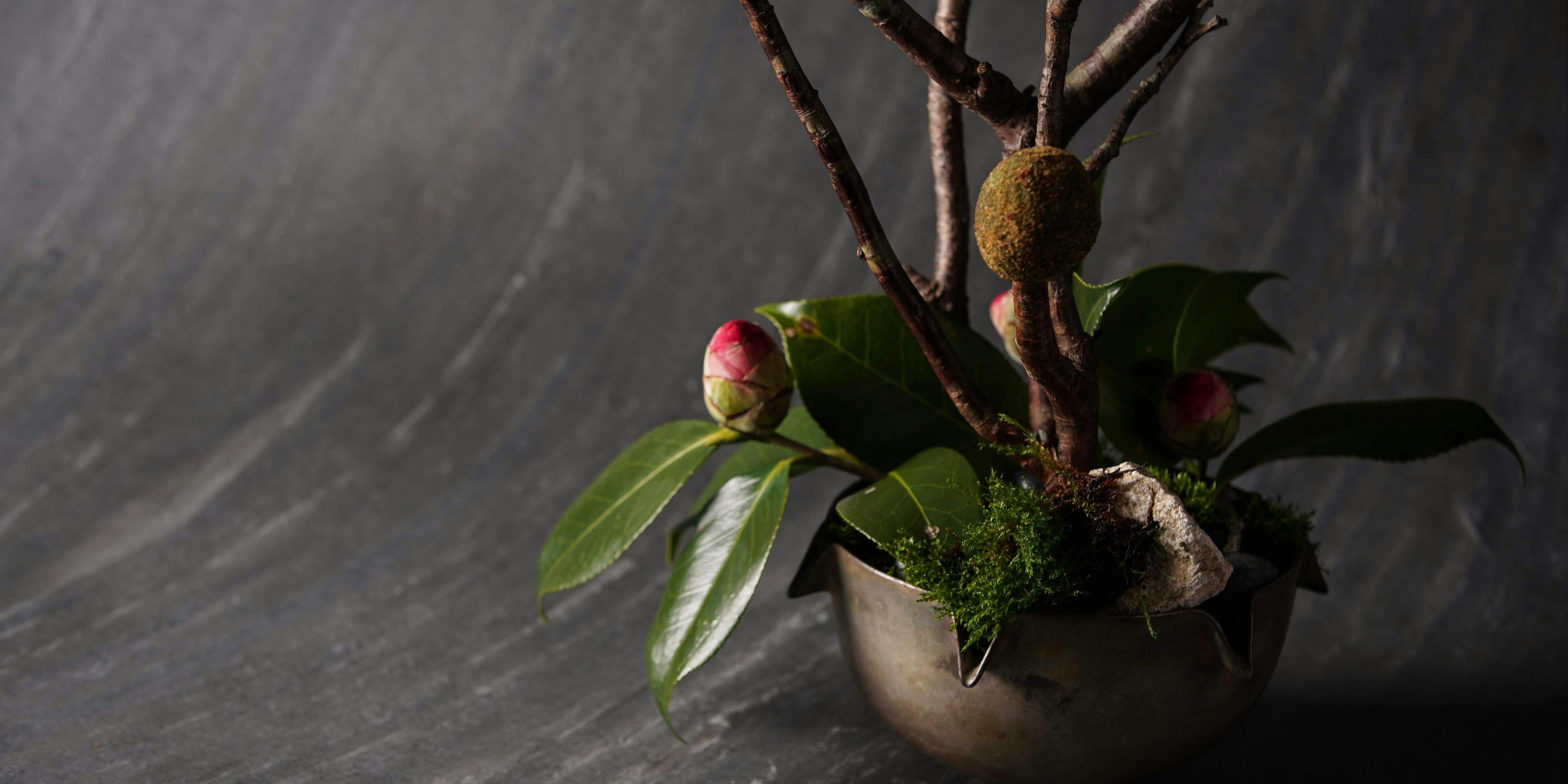 イノベーティブ フレンチ ワタハン - 画像12