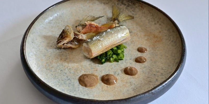 【CENA】前菜3品、パスタ、メイン等全9品