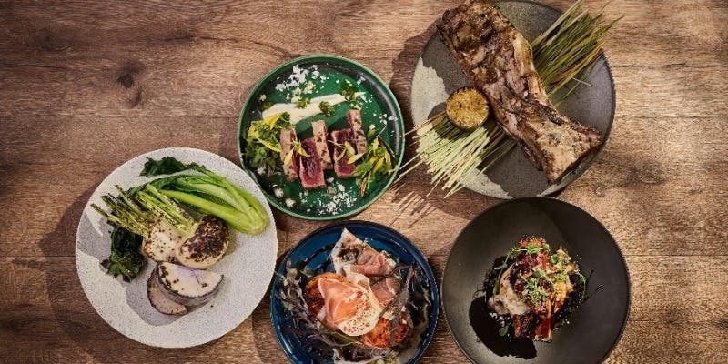 【贅沢薪火ディナーコース】季節の食材や埼玉素材を薪火料理で楽しむ厳選コース