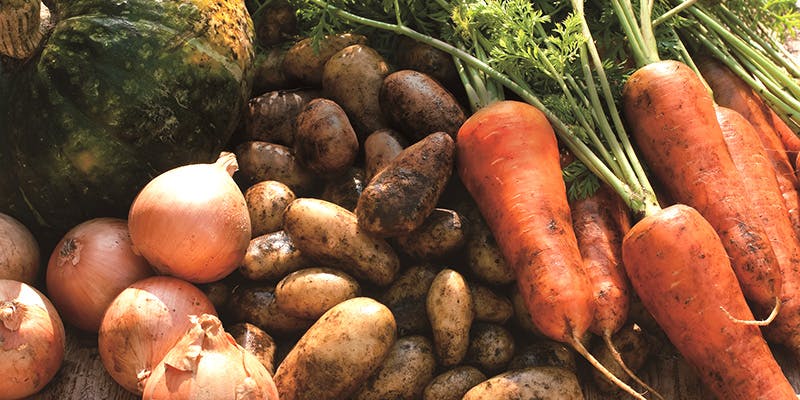 川越薪火料理 in the park