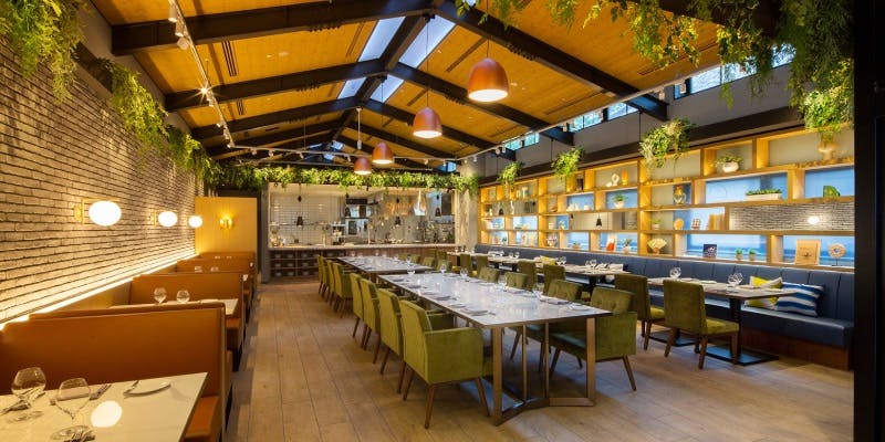 植物が飾られたスタイルキッチンの店内の様子